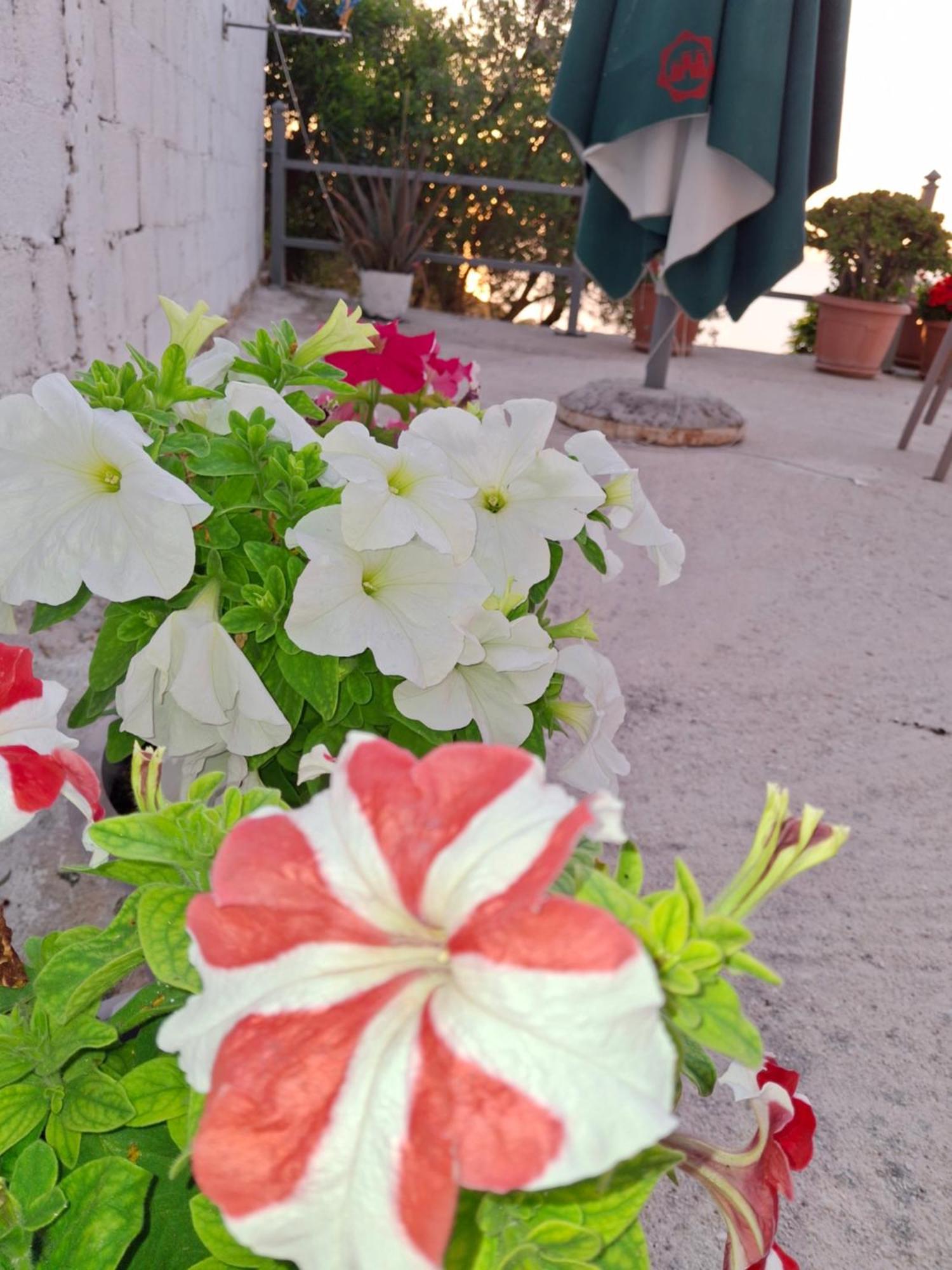 Appartamento Amar Seaside Ksamil Esterno foto